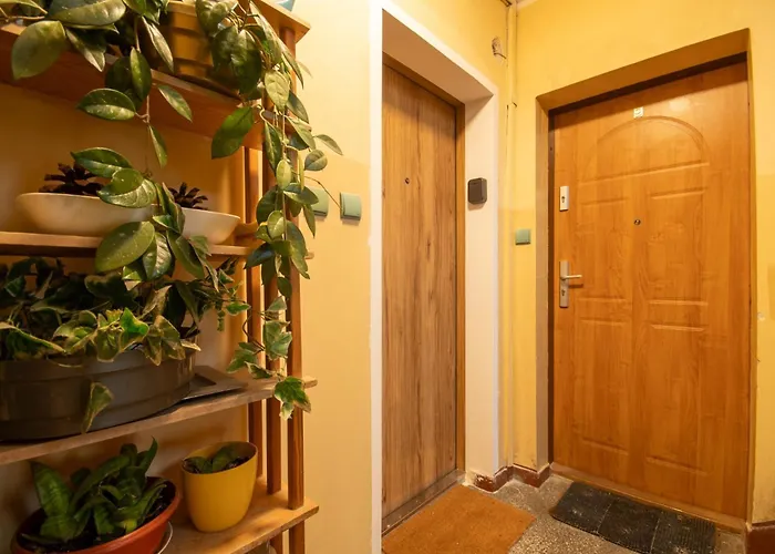 Rynek Comfy Apartment