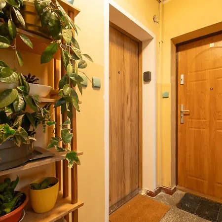 Rynek Comfy Apartment
